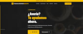 design a professional website for your local business