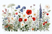 do a botanical illustration