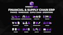 develop financial warehouse and supply chain erp software
