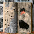 comic book illustration, comic artist, comic page
