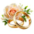 do professional wedding video teaser wedding video editing