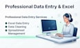 do professional data entry,microsoft excel, microsoft access,microsoft word,