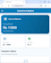 develop a professional flutter mobile app