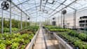 do greenhouse design, 3d greenhouse design, plans and  custom rendering