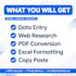 do fast data entry, excel work, pdf to word and typing work