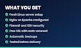 set up and secure your linux server for wordpress or laravel hosting