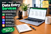 do any data entry work accurately