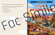 design and format activity, puzzle, or coloring books for KDP