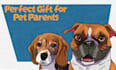 draw a pet portrait illustration