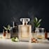 formulate long lasting perfume formulation