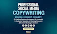 do professional social media writing and post
