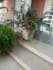 design luxury garden, 2d 3d lands