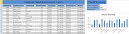 provide advance excel data formatting and precious data entry