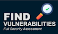 perform website penetration testing and vulnerability assessment