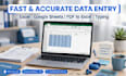 do data entry , excel typing