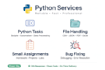 write python script and fix python bugs