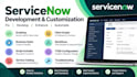 develop and integrate servicenow solutions