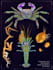 create customised animal illustrations