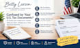 provide US tax document review and consultation