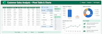 clean analyze and visualize your excel data