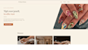 create a professional website and host it