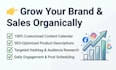 be your ecommerce social media manager and content creator