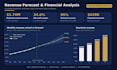 do financial modeling, valuation and business forecasting