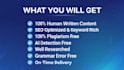 write human written seo optimized article blog post
