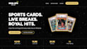 provide cheap and modern website building and designs