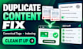 fix squarespace canonical tag errors, duplicate content, indexing and SEO issues