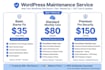 do wordpress website maintenance updates and security care plan