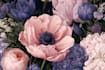 draw custom botanical and flower illustrations
