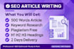 write SEO optimized articles