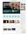 design a professional sharepoint intranet website