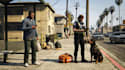 create gta 5 ped, fivem ped, props, and animal ped and modifications