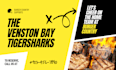 design a modern professional flyer