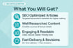 write SEO blog posts and articles