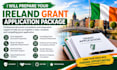 prepare your ireland grant application package