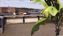 create arcore augmented reality experiences for android with unity