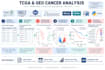 analyze tcga GEO and public cancer transcriptomics data