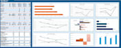 create an excel financial model, business budget and dashboard