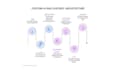 build a custom ai chatbot using rag and langchain