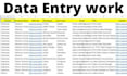 do data entry and web resarch