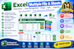 merge, format multiple excel file and sheets
