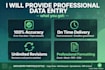 do data entry typing copy paste and excel work fast