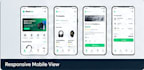 develop a modern ecommerce website with responsive design