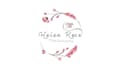 design camera , photographer , drone camera and photography logo