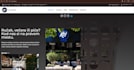 design a professional, fast loading business website