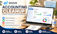 provide wave accounting cleanup and financial organization