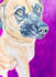 create a personalized portrait of your pet